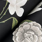 Roses Black Wallpaper