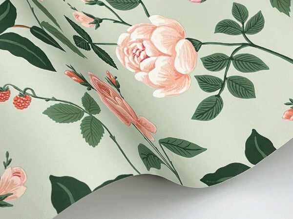Roses Mint Wallpaper