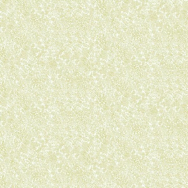 Champagne Dots Gold & White Wallpaper