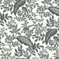 Canopy Black & White Wallpaper
