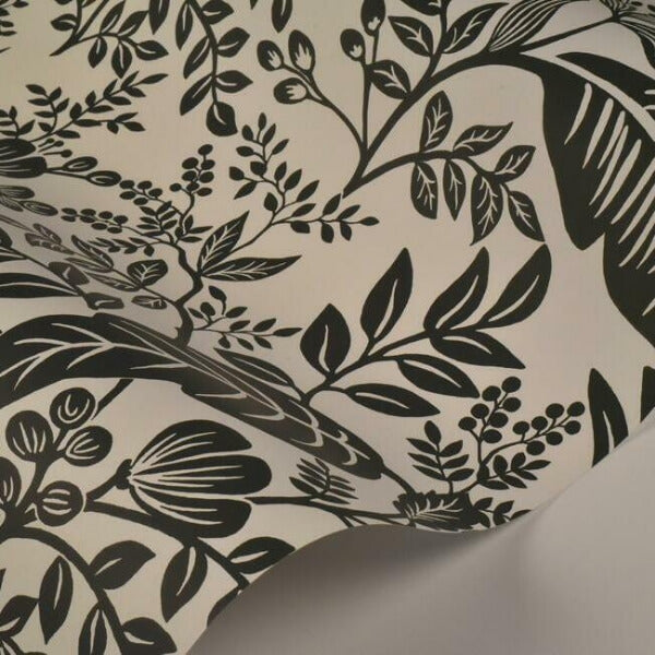 Canopy Black & White Wallpaper