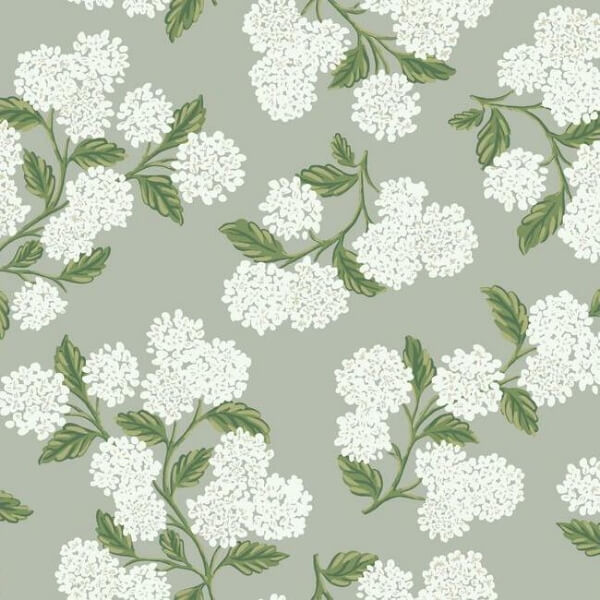 Hydrangea Grey Wallpaper