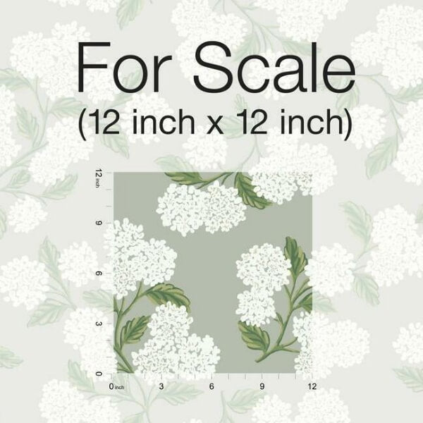 Hydrangea Grey Wallpaper