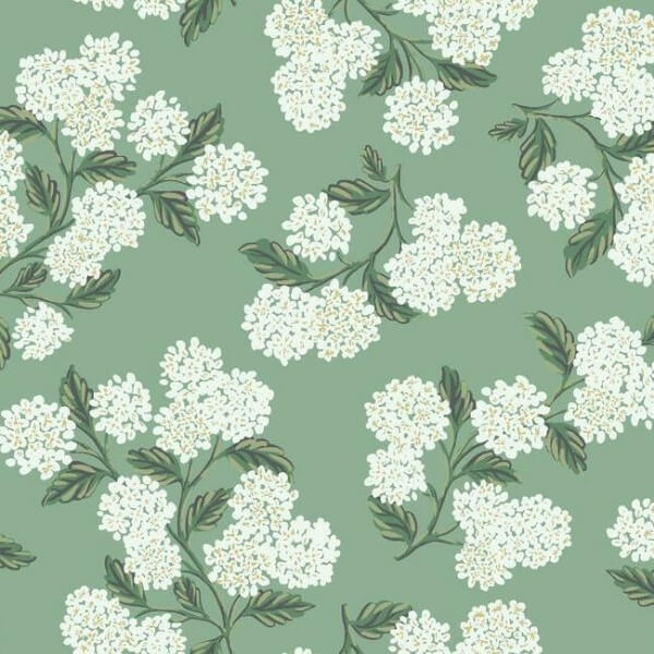 Hydrangea Jade Wallpaper