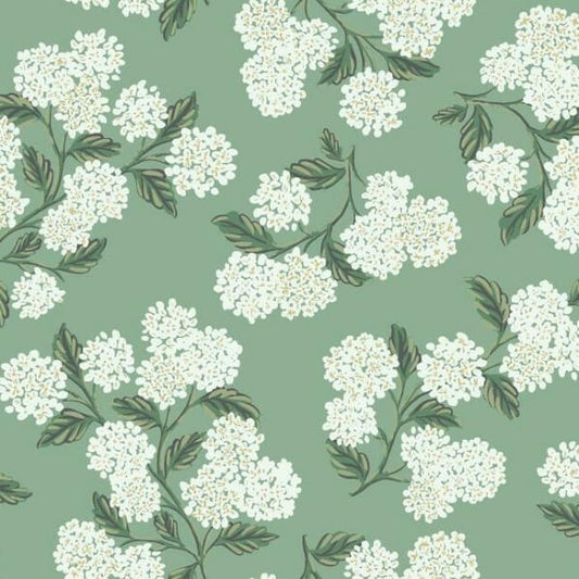 Hydrangea Jade Wallpaper
