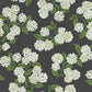 Hydrangea Black & White Wallpaper