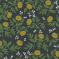 Peonies Black & Gold Wallpaper