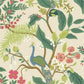 Peacock Light Pink Wallpaper