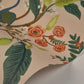 Peacock Light Pink Wallpaper