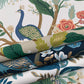 RI5172 Navy Peacock Wallpaper