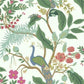 Peacock Periwinkle Wallpaper