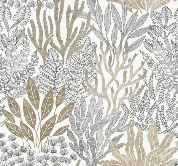 Coral Leaves Taupe & Black Wallpaper
