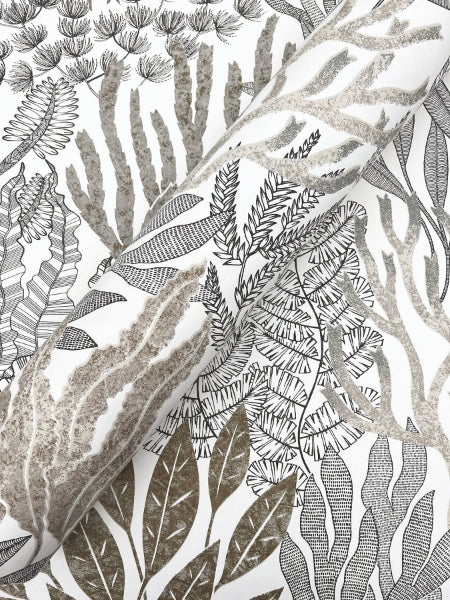 Coral Leaves Taupe & Black Wallpaper