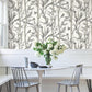 Bambou Toile White Wallpaper