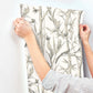 Bambou Toile White Wallpaper