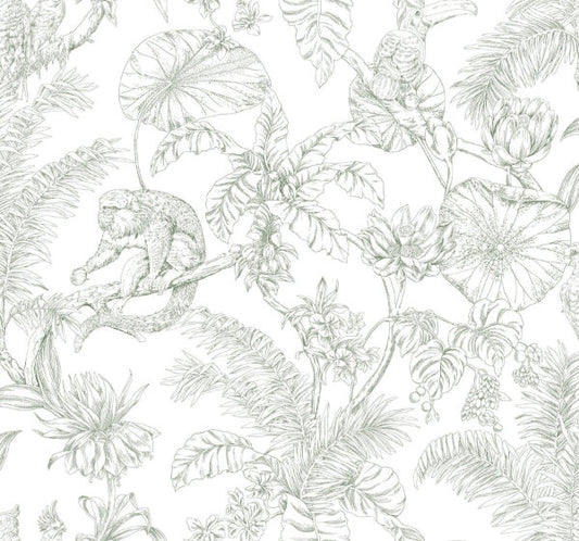 Tropical Sketch Toile Forest Wallpaper