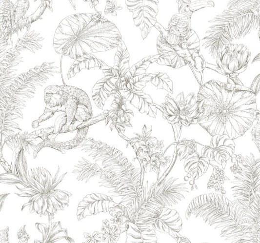 Tropical Sketch Toile Brown Wallpaper
