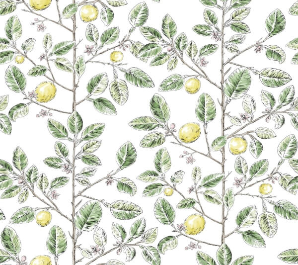 Limoncello Toile Green Wallpaper