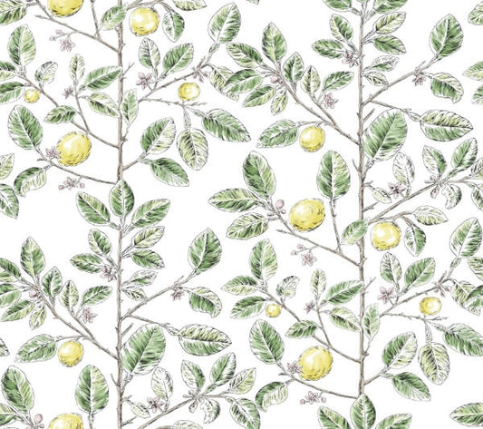 Limoncello Toile Green Wallpaper