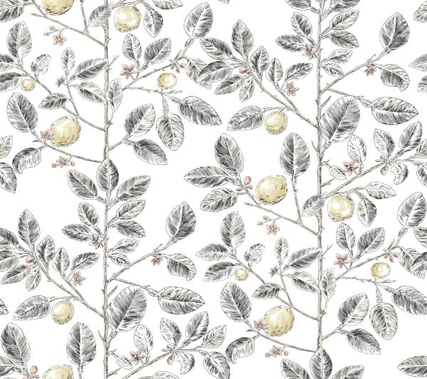 Limoncello Toile Black Wallpaper