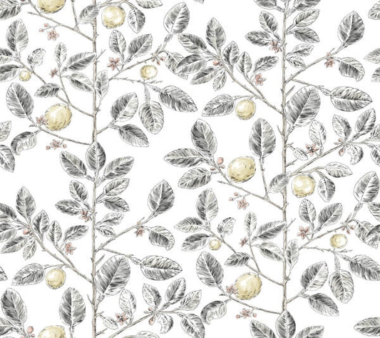 Limoncello Toile Black Wallpaper