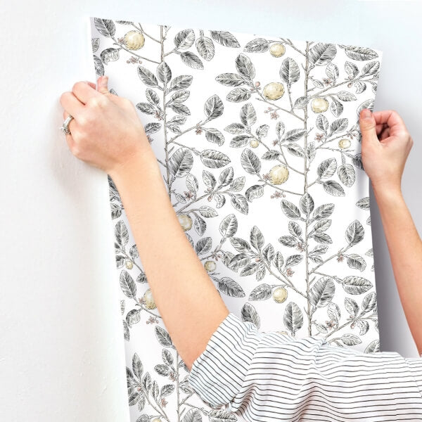 Limoncello Toile Black Wallpaper