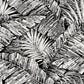 Palm Cove Toile White & Black Wallpaper