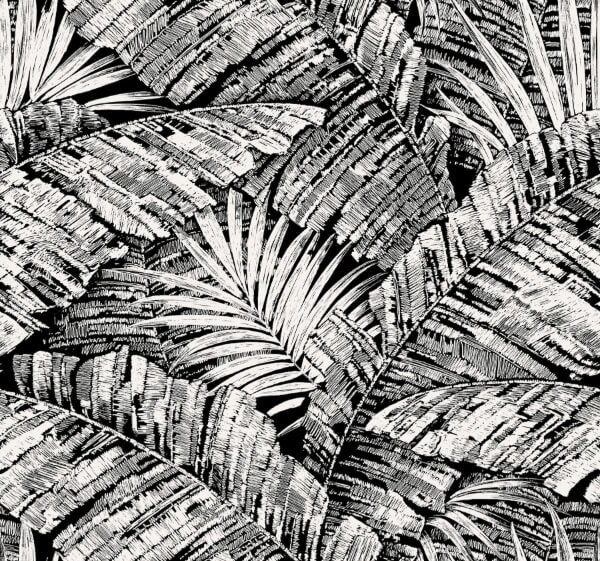 Palm Cove Toile White & Black Wallpaper