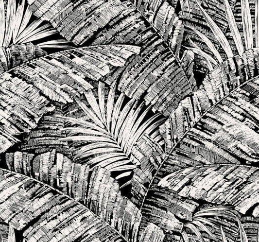 Palm Cove Toile White & Black Wallpaper