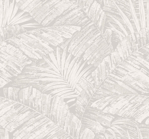 Palm Cove Toile White & Grey Wallpaper