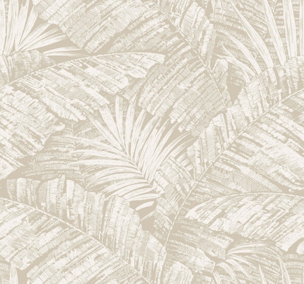 Palm Cove Toile White & Taupe Wallpaper
