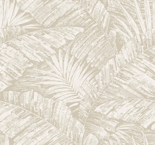 Palm Cove Toile White & Taupe Wallpaper