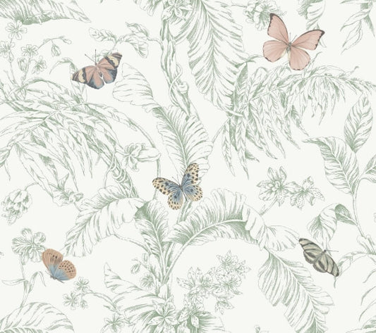 Papillon Blush Wallpaper