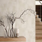 Italian Plaster Plaster Wallpaper