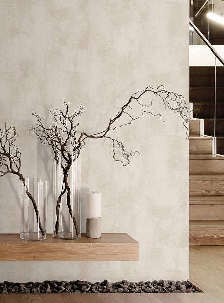 Italian Plaster Plaster Wallpaper