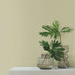 Su Tela Green Wallpaper