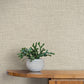 Loom Warm Grey Wallpaper