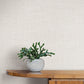 Loom White Wallpaper