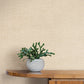 Loom Wheat Wallpaper