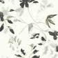 Linden Flower Black Wallpaper