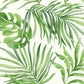 Paradise Palm Green Wallpaper