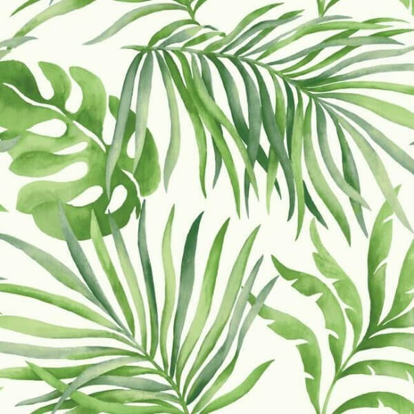Paradise Palm Green Wallpaper