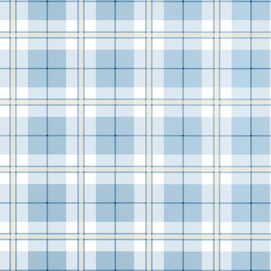 DOUGLAS PLAID - Light Blue