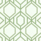 Sawgrass Trellis Green Wallpaper