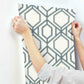 Sawgrass Trellis White & Blue Wallpaper