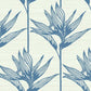 Bird of Paradise Blue Wallpaper