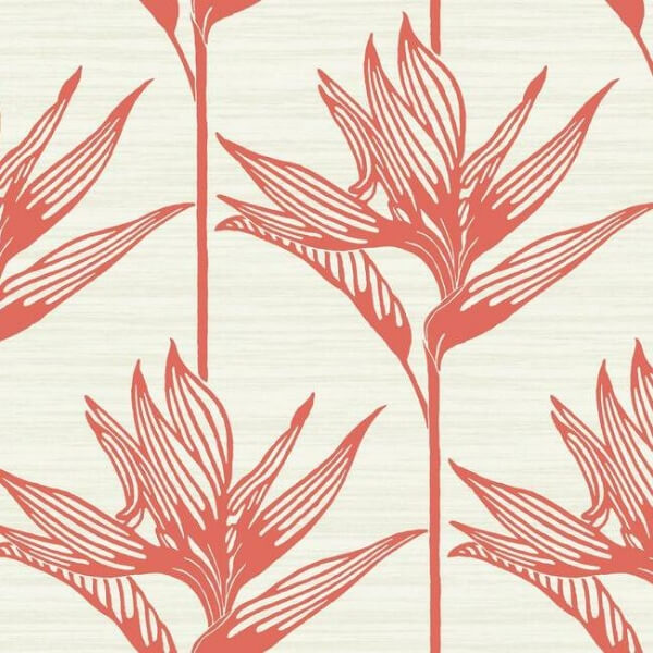 Bird of Paradise Coral Wallpaper