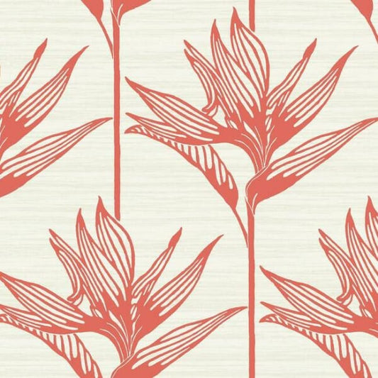 Bird of Paradise Coral Wallpaper