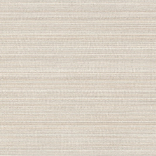Allineate Seashell Wallpaper