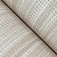 Allineate Seashell Wallpaper
